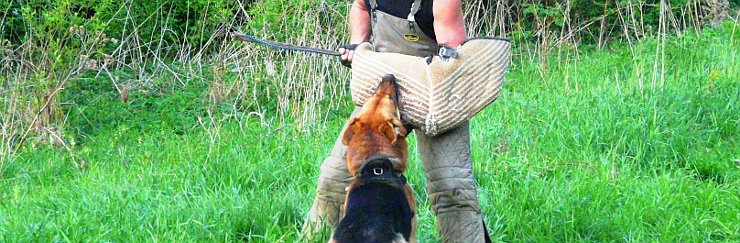 Výcvik psů - Slávek Boháč